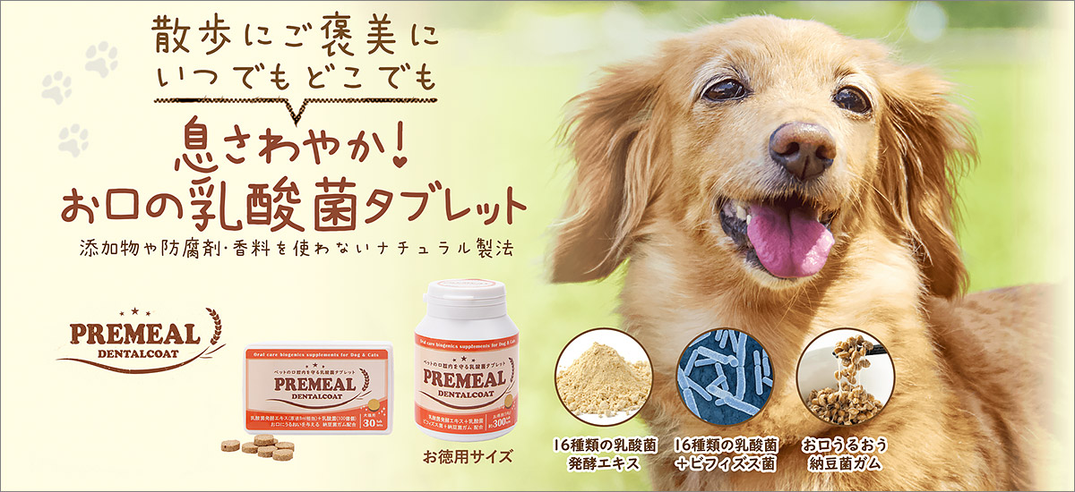 愛犬・愛猫の歯磨き、口臭予防に。お口の乳酸菌サプリメント、PREMEAL（プレミール　デンタルコート）