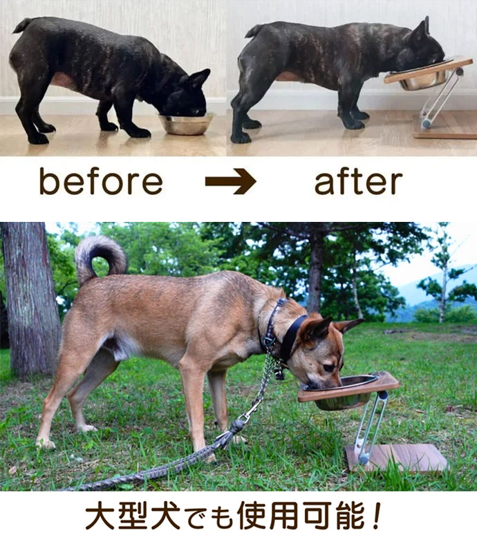 THE DOG CAMP フードスタンド before after