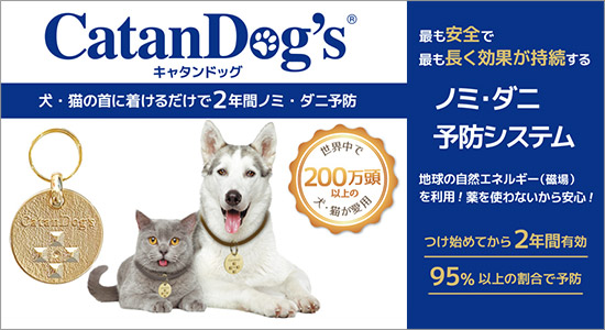 Catandog'sブランドイメージ