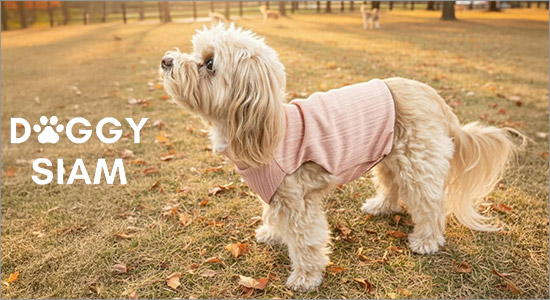 DOGGY SIAM ブランドイメージ