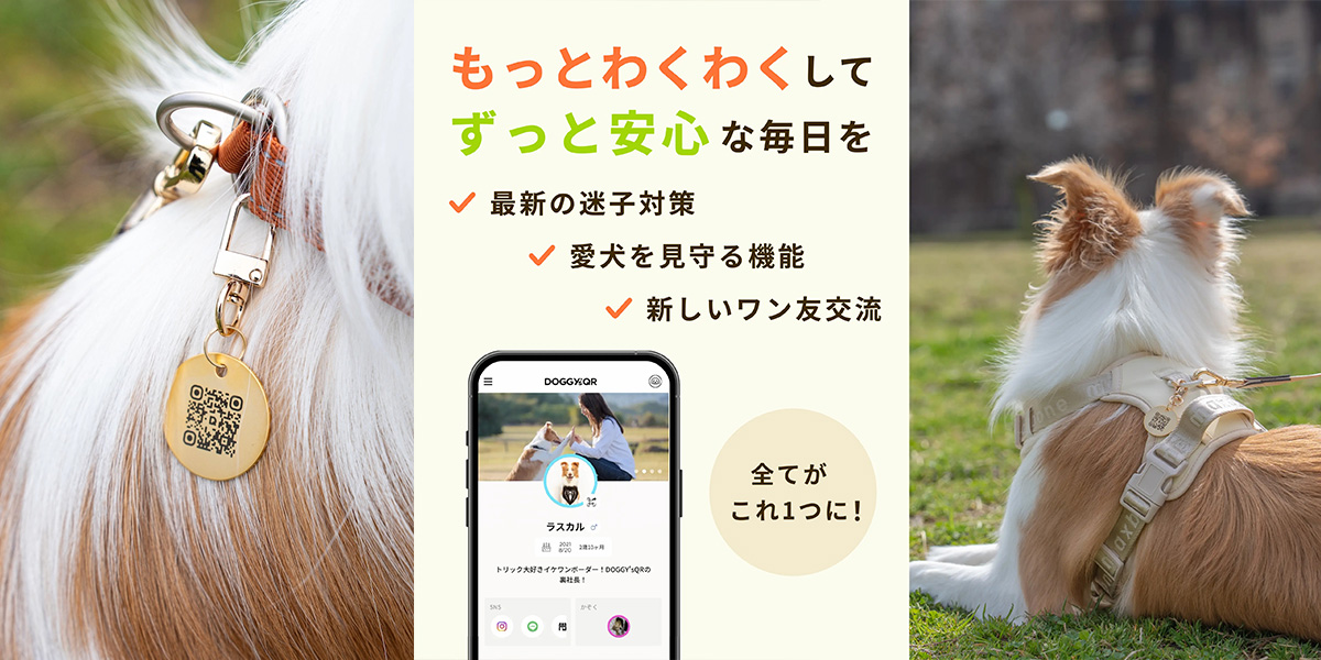 QRコード付きの犬用スマート迷子札 DOGGY'sQR（ドギーズキューアール）