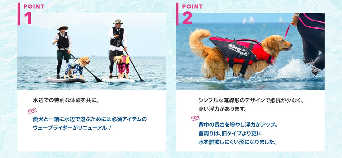 GEWALK ウェーブライダー
