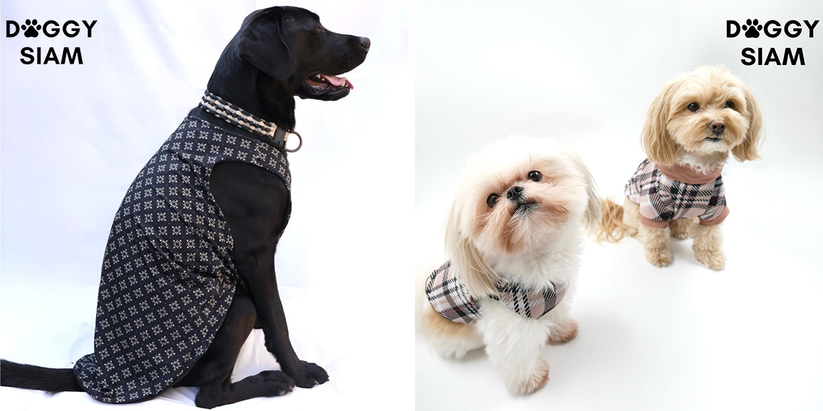 DOGGY SIAM 機能性保護ウェア ACTIVE GUARD WEAR