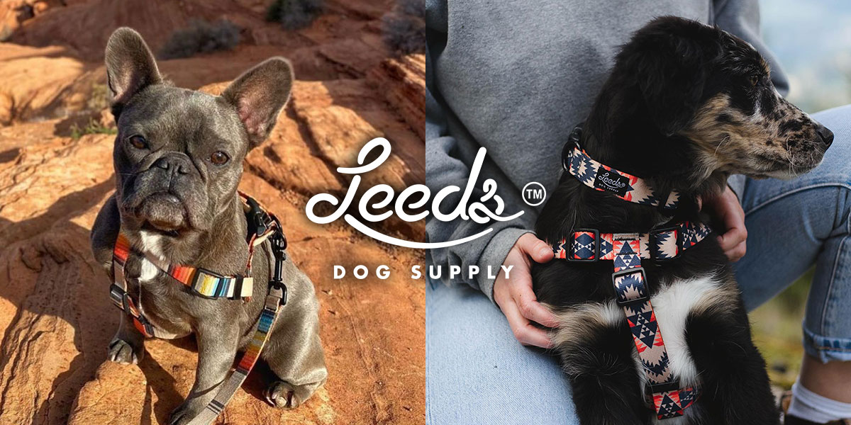 【Leeds Dog Supply】新作ドッグハーネス 2025