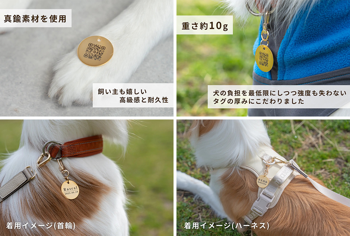 QRコード付きの犬用スマート迷子札 DOGGY'sQR（ドギーズキューアール）