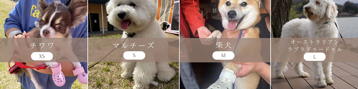 犬用アウトドアシューズ(ワンダル)
