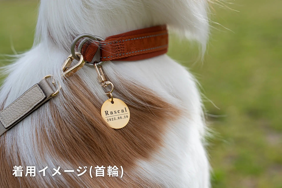 QRコード付きの犬用スマート迷子札 DOGGY'sQR（ドギーズキューアール）