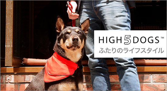 High5dogs ブランドイメージ