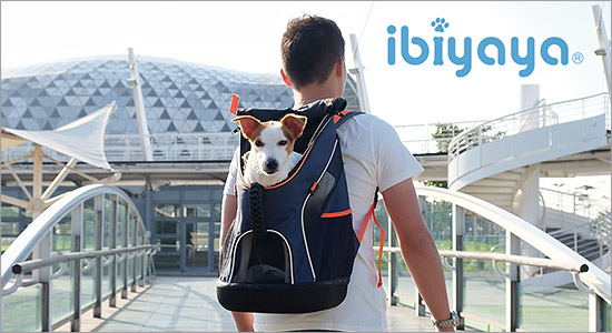ibiyaya ブランドイメージ