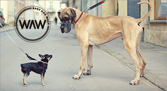 WAW EASY DOG WALK ブランドイメージ
