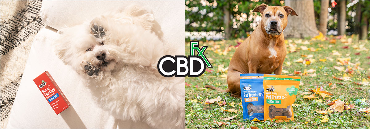 世界21ヶ国に展開するCBDオイル業界のリーダー的ブランド【CBDfx】から犬猫用のCBD製品が新発売！
