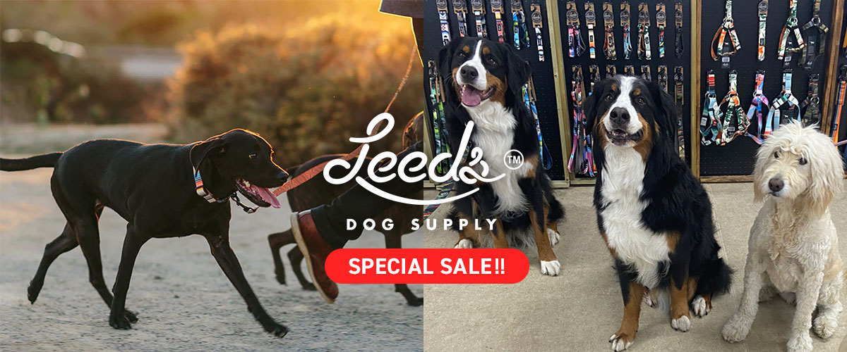 「Leeds Dog Supply」スペシャルセール実施中！