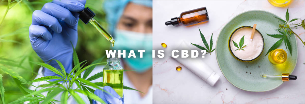 【初めてのCBD】第一回 基礎知識編：CBDを正しく知ろう！