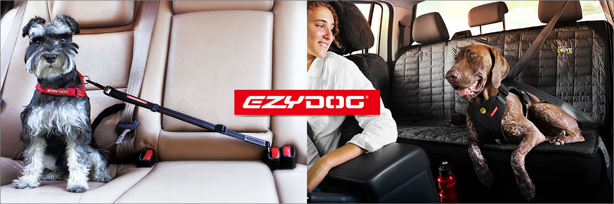 アクティブドッグギア EZYDOGから秋のアウトドアやお出かけ時に人気のドライブ製品をご紹介！