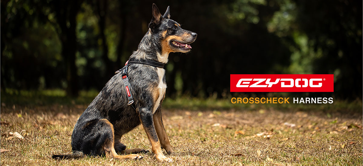 EZYDOG - 引っ張り緩和トレーニングをサポートする「クロスチェックハーネス」新発売