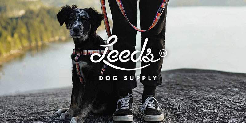 【Leeds Dog Supply】新作ドッグハーネス