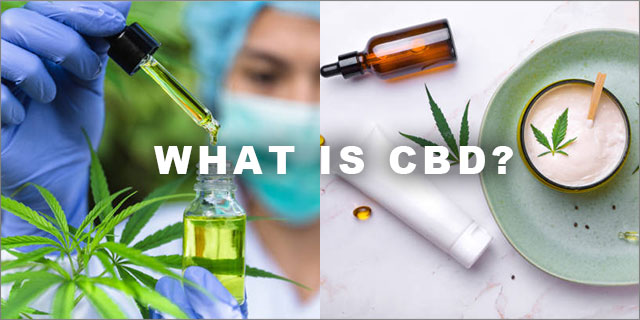 【初めてのCBD】第一回 基礎知識編：CBDを正しく知ろう！