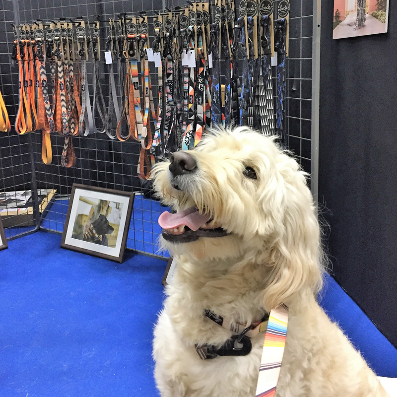 Leeds Dog Supply｜ドッグリード [Lサイズ]